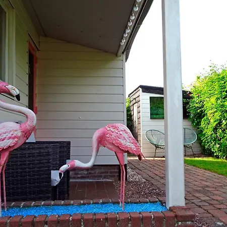 Delightful Tropical Retreat Close To The Sea 瓦门赫伊曾